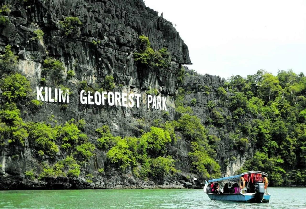 Jelajahi Mangrove Langkawi: Tur Ekosistem Pesisir yang Menakjubkan